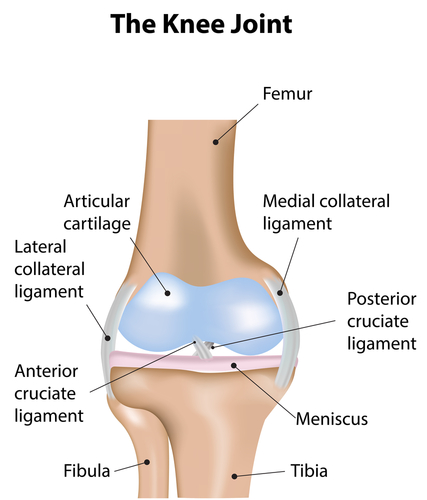 Knee Joint Injury Repair, Los Angeles, CA